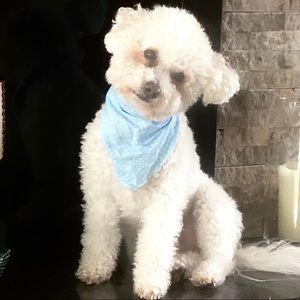 Meet your Posher, Kathy